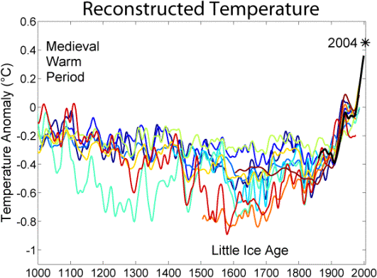 Reconstructed 1000 yr Temperature